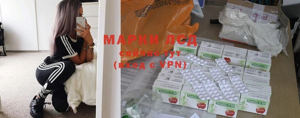 ПСИЛОЦИБИНОВЫЕ ГРИБЫ Баксан