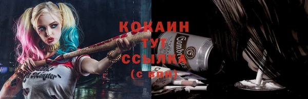 ПСИЛОЦИБИНОВЫЕ ГРИБЫ Баксан