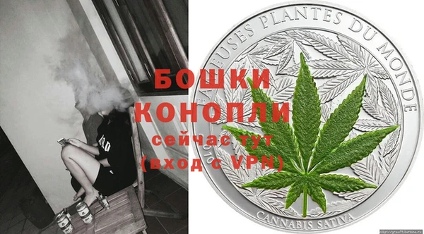 ПСИЛОЦИБИНОВЫЕ ГРИБЫ Баксан
