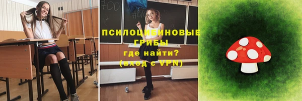 ПСИЛОЦИБИНОВЫЕ ГРИБЫ Баксан