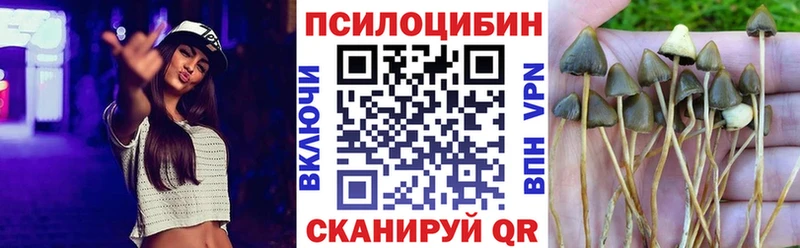 нарко площадка телеграм  Усть-Джегута  Псилоцибиновые грибы прущие грибы 