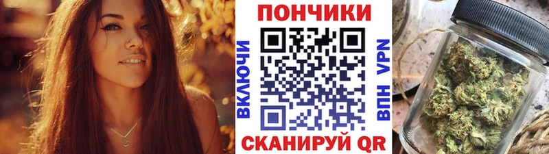 Канабис конопля Усть-Джегута
